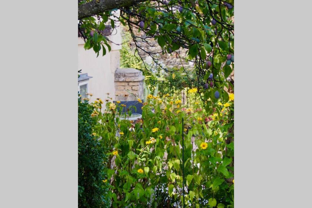 Villa Wachtertor كريمس ان دير دوناو المظهر الخارجي الصورة